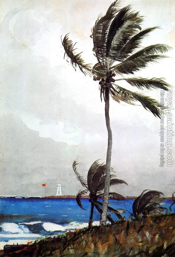 Winslow Homer : Palm Tree, Nassau